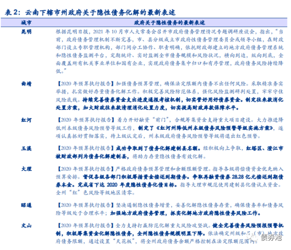 云南省地方债务怎么处理？民生项目负债报告-图2