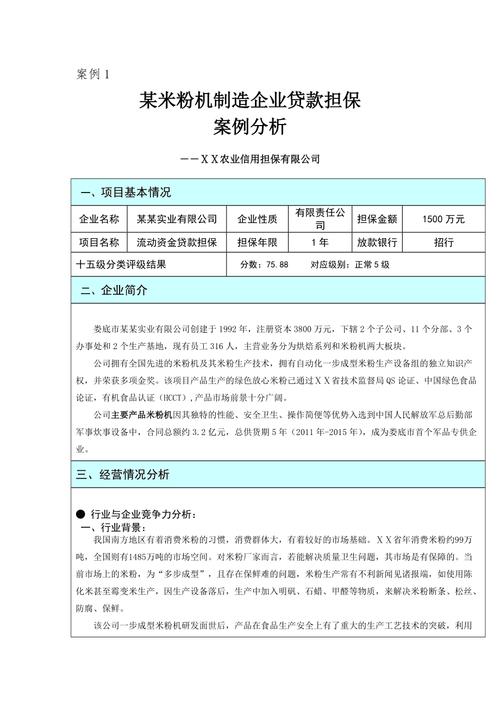 如何做好对已立项的项目进行担保现场核查和详细的评审？担保项目评审报告-图1