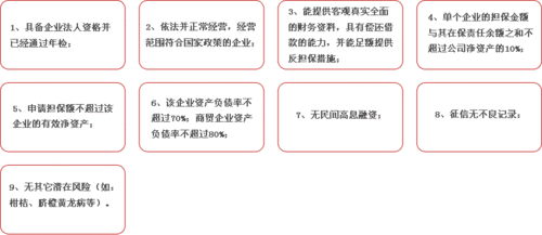 如何做好对已立项的项目进行担保现场核查和详细的评审？担保项目评审报告-图2