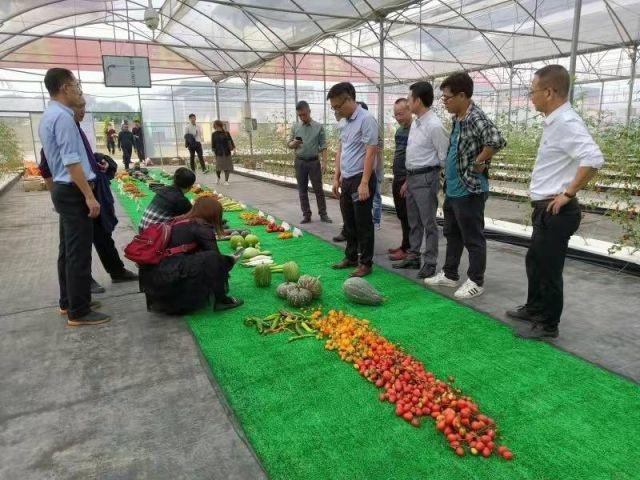 广东省潮州市潮安县龙湖镇多少个村？龙湖地产广东项目-图2