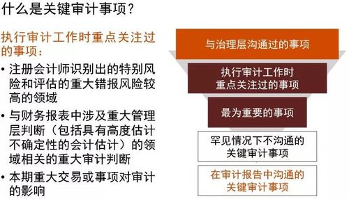 审计审掉了20%处罚监理吗？投资项目审计 处罚-图2