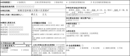 法人和产业活动单位清查表怎么填？建筑项目清查表-图3