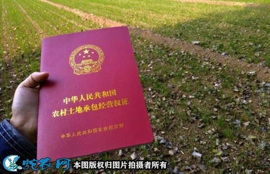 国家土地深耕补贴标准？山东深耕项目补贴-图1