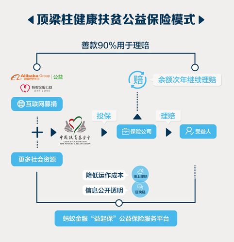 医院报销健康扶贫基金是什么？健康扶贫项目背景-图3