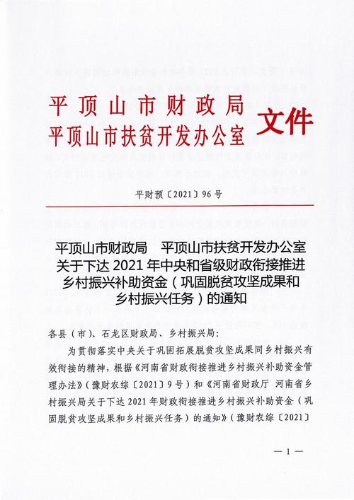 乡村振兴项目衔接资金拨付推进会上的讲话？乡村振兴项目发言-图3