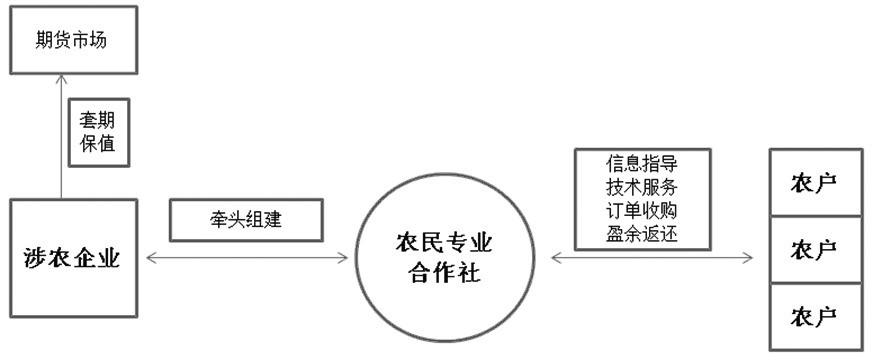 企业加合作社加农户的核心要义？公司加农户 项目-图3