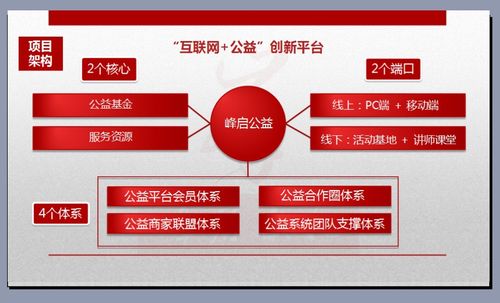 公益项目的创新性主要有哪些公益项目建设模式-图2