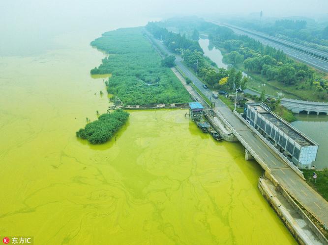 为啥太湖蓝藻总会在无锡水域集中暴发？无锡水厂新建项目-图3