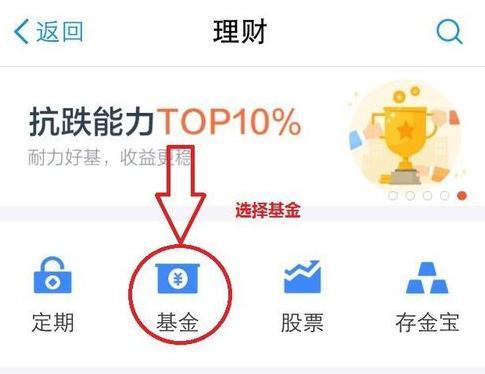 支付宝基金指标怎么看？基金项目指标-图2