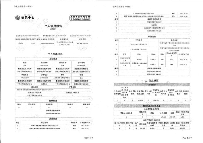 去打征信报告需要准备什么东西？向银行汇报项目-图3