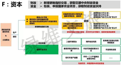 乡村振兴有哪些项目可做？乡村振兴  项目单-图3