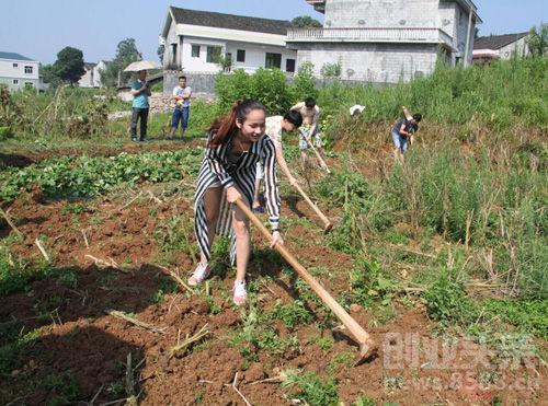 家有空房在农村，可以发展什么种植和养殖业？项目合理的原因-图2