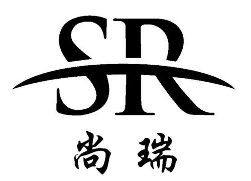 sr.cdm是什么岗位？项目管理中sr-图1