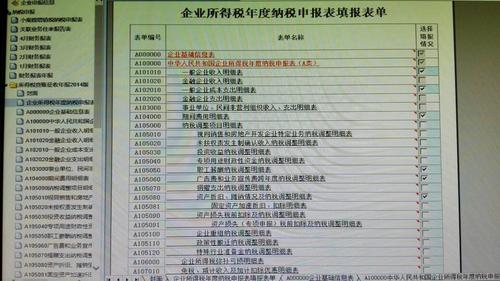 年报公示中的纳税总额怎么填？项目纳税情况表-图2