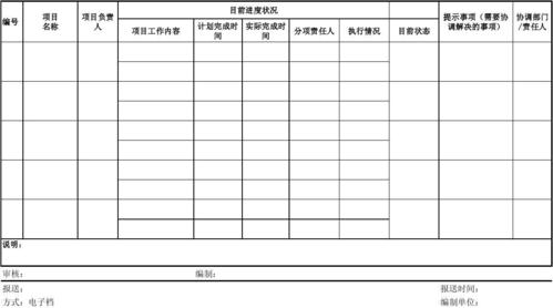 项目报表怎么做？公司项目进展表-图2