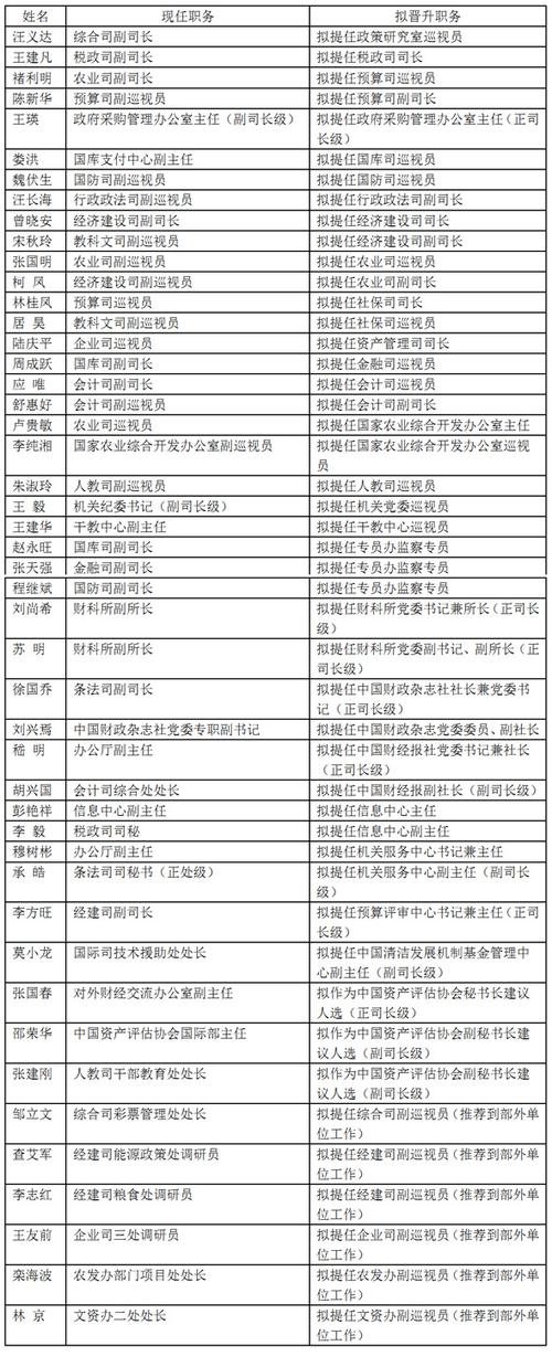 拟任何职务什么意思？项目拟用职务-图3