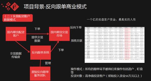 期货反跟单软件？反跟单项目-图2