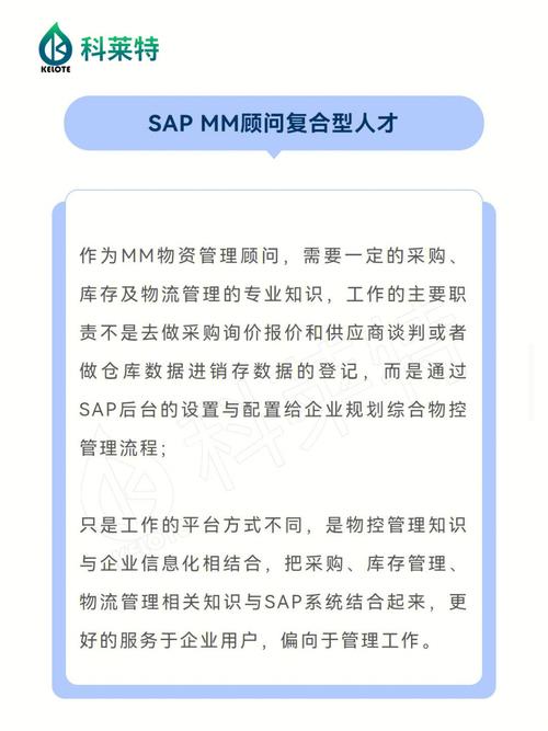 做SAP实施顾问怎么样啊，前景及待遇如何？项目设计顾问机-图2