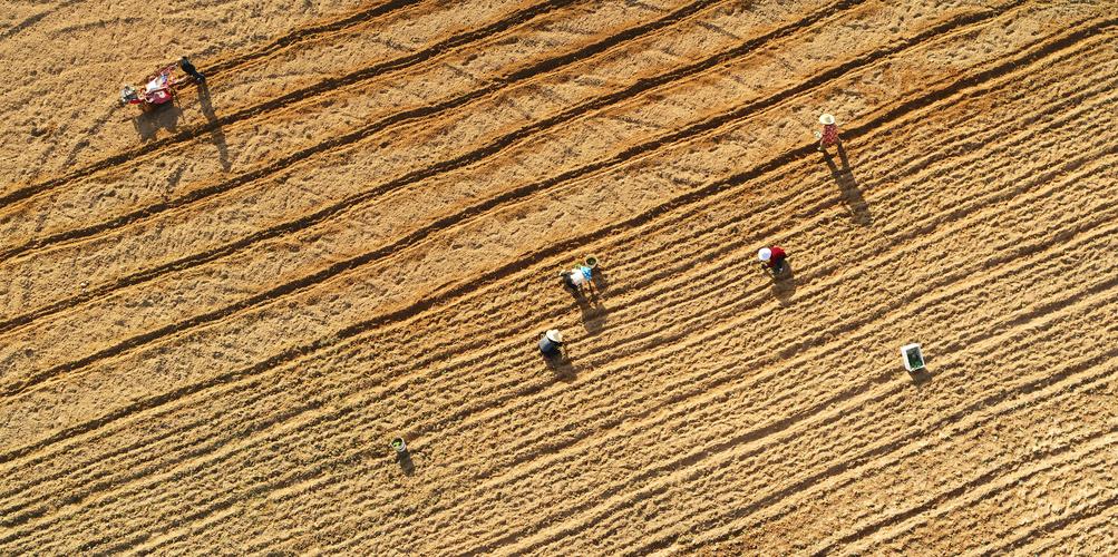 撂荒耕地复耕整治流程？土地复垦项目贷款-图3