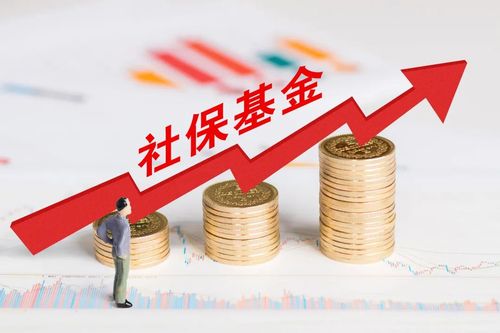 什么是四类资金项目？社保基金投资项目-图2