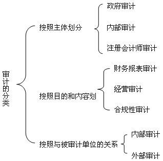 简述审计的基本分类及不同分类之间的差别？财务审计 项目分类-图1