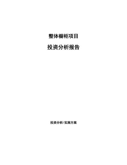 项目投资价值的分析报告是要指什么？项目投资的报告-图3