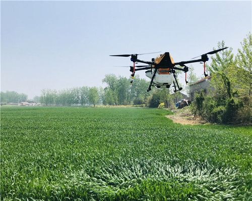 成都大运会植保无人机禁飞吗？植保项目申报风险-图2